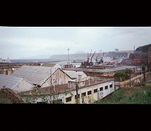 oran 066